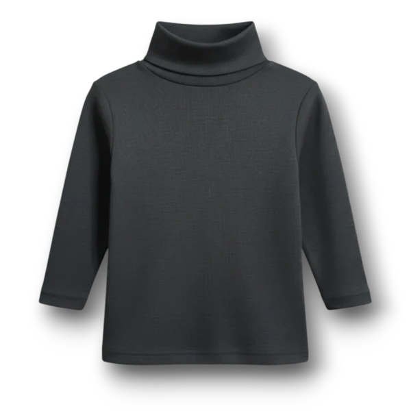 Winter High Neck Black Colour