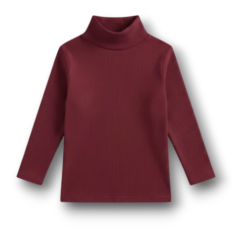 Winter High Neck Maroon Colour