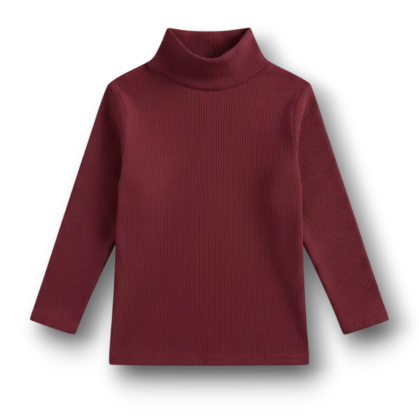 Winter High Neck Maroon Colour