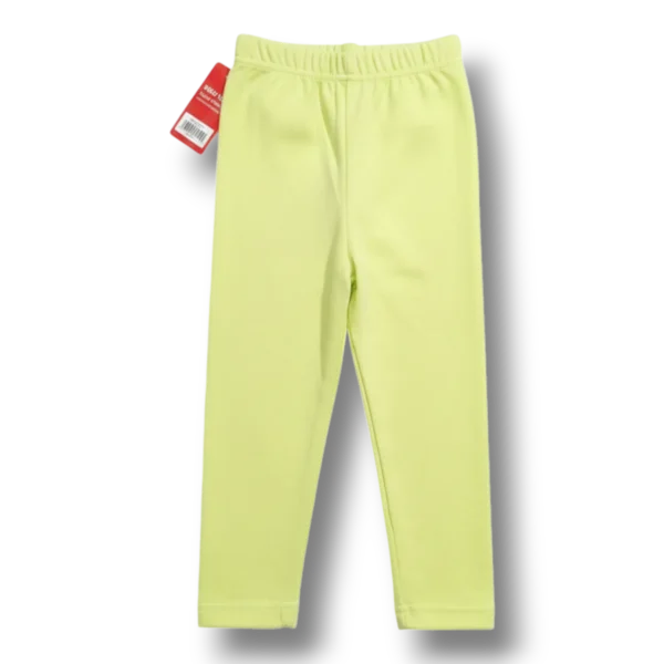 Tights Light Green Colour